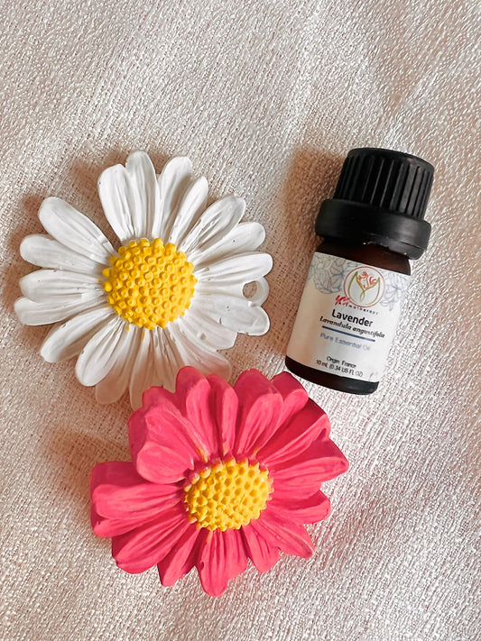 Aroma Stone 小雛菊擴香石