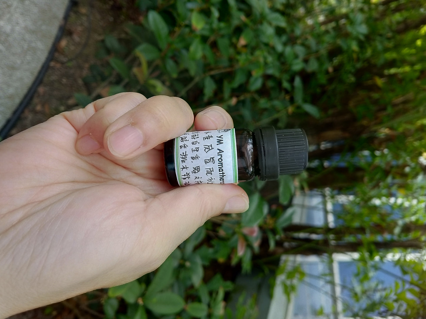 Flu Formula 速效感冒配方 10ml